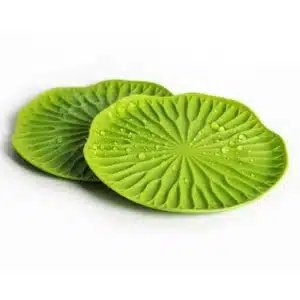 Leaf Tea Coaster