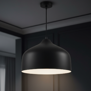 Black & White Pendant Light