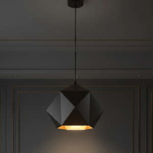 Modern Black  Pendant Light 