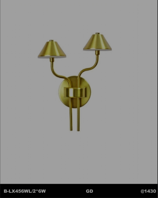 Modern Dual Head Gold Wall Lamp