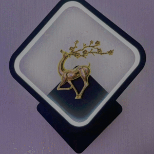 LED Decorative Wall light