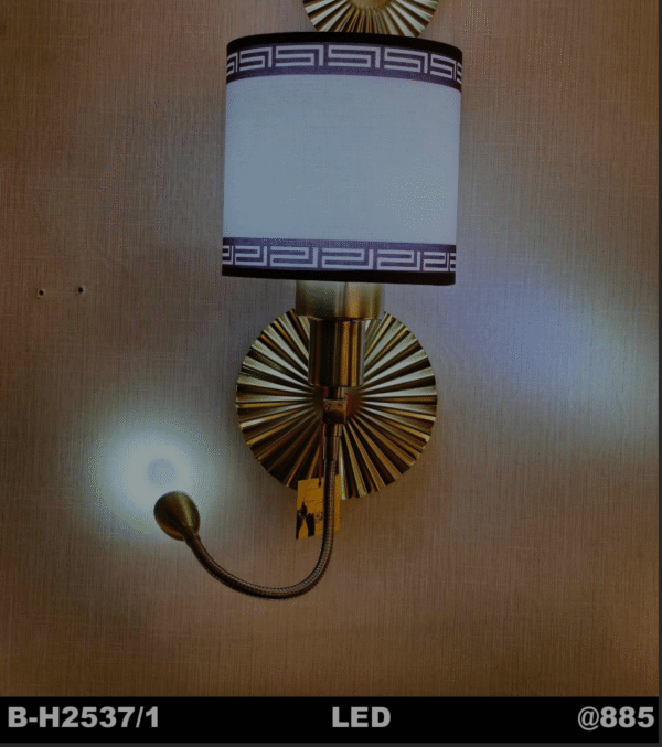 LED Wall Lamp with Dual Lighting