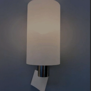 Minimalist Frosted Glass Wall Light