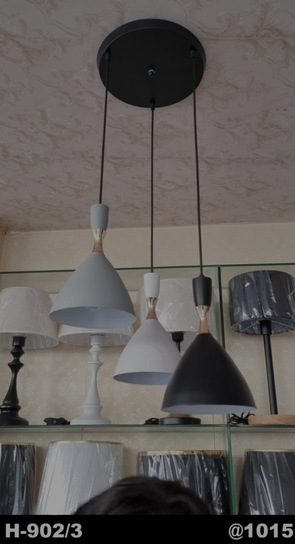 Modern Hanging Pendant Light