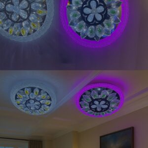 Crystal Bloom LED Ceiling Light