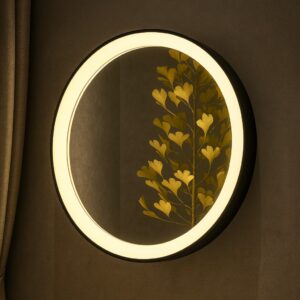 Modern LED  Designer Mirror Lights